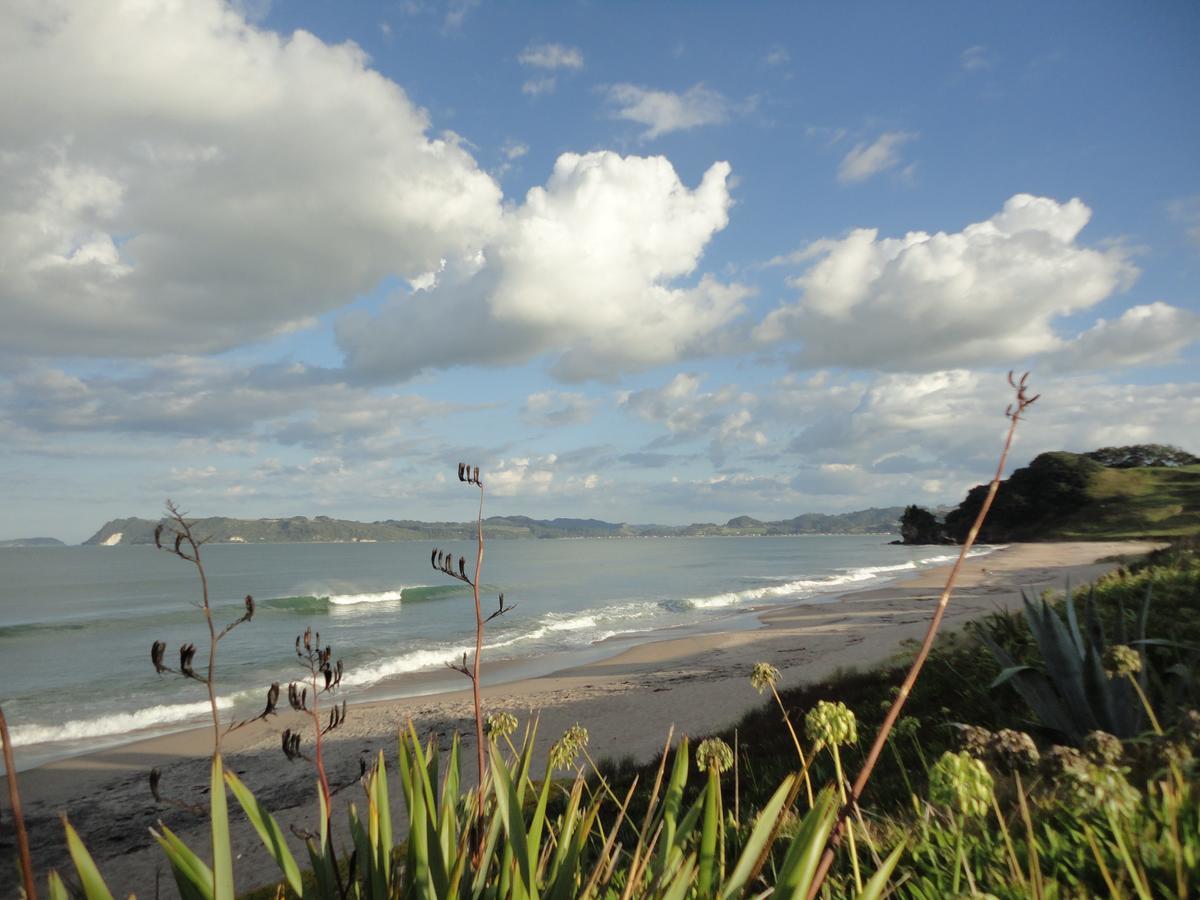 Ocean View B&B Whitianga Exterior foto